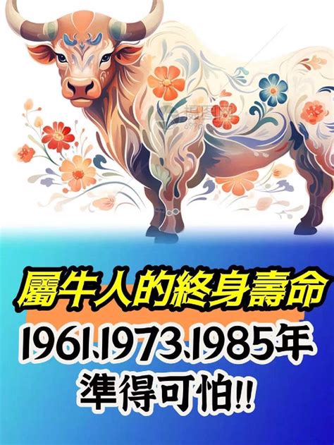 1973年屬牛|【1973牛】揭開1973年牛寶寶的五行之謎！屬牛人生運勢大公開